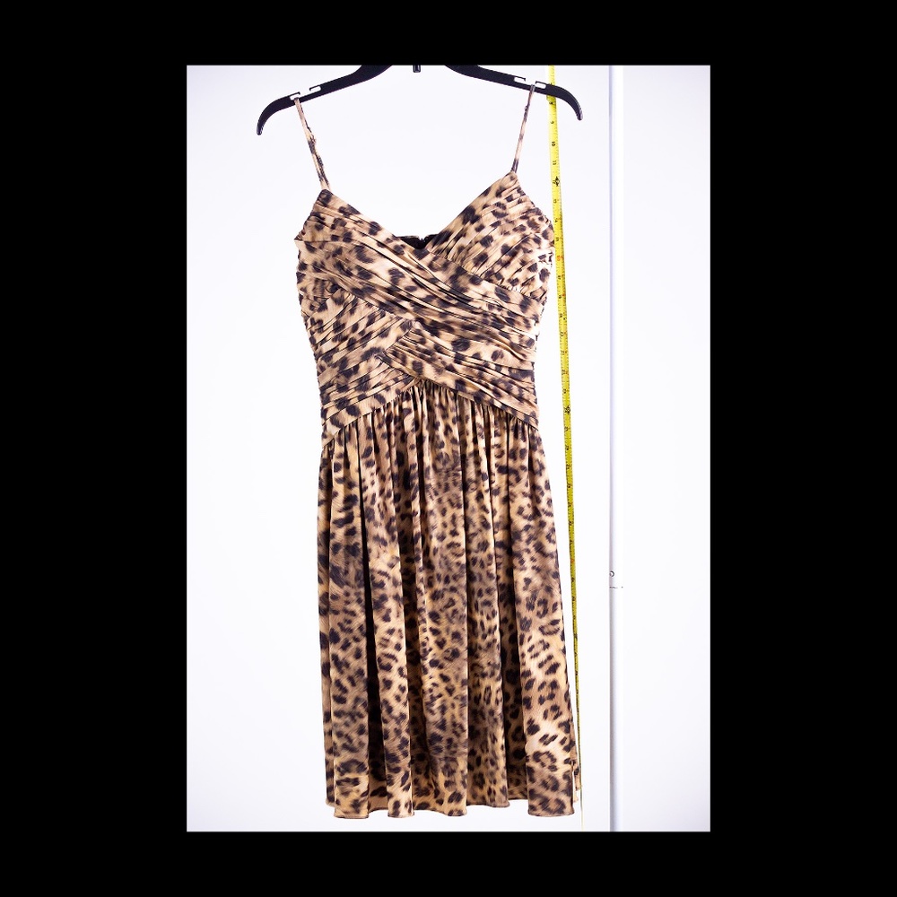 BAM Adrianna Papell's Wild Kingdom Occasions